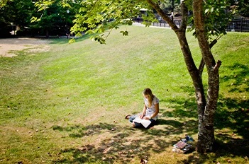 A student reading under a shady tree.
